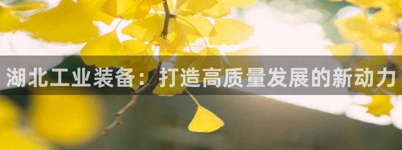 门徒平台注册中心在哪找