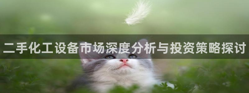 门徒娱乐成功案例有哪些