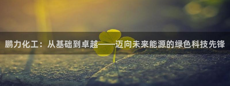 门徒娱乐app代理加盟多少钱：鹏力化工：从基础到卓